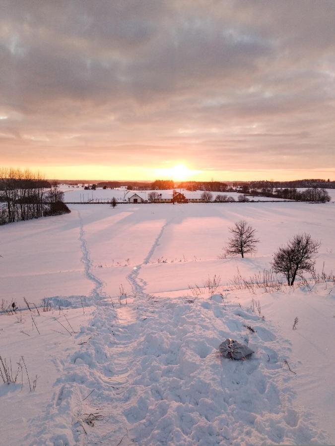 Stajnia * Zamczysk